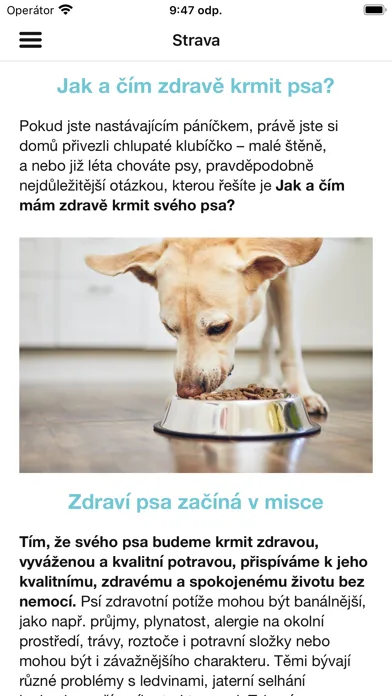 Zrzuty ekranu Happy Dog CZ