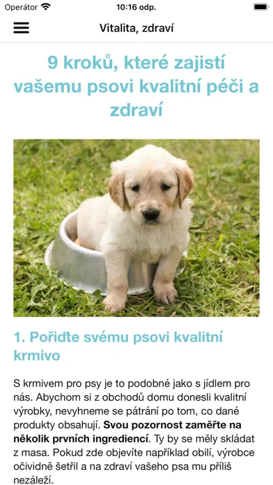 Zrzuty ekranu Happy Dog CZ
