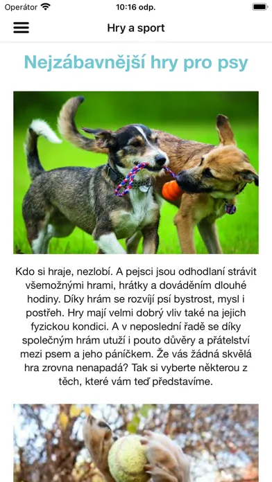 Zrzuty ekranu Happy Dog CZ