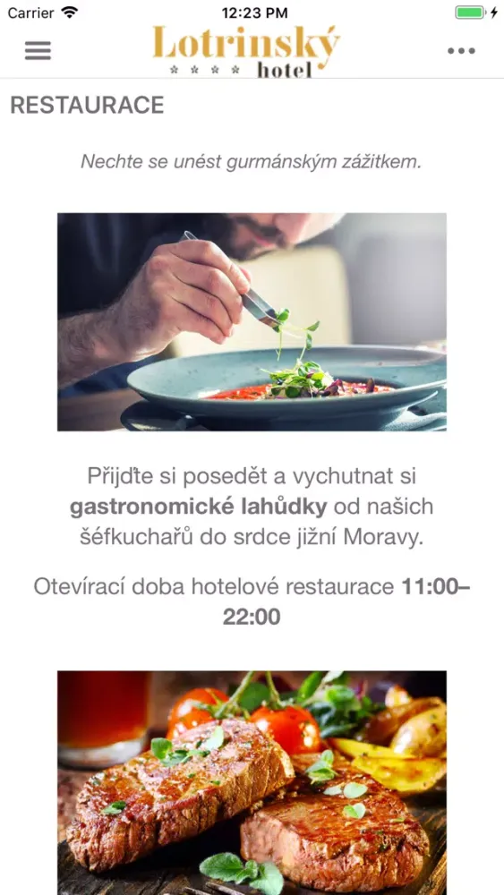 تصاویر Hotel Lotrinský