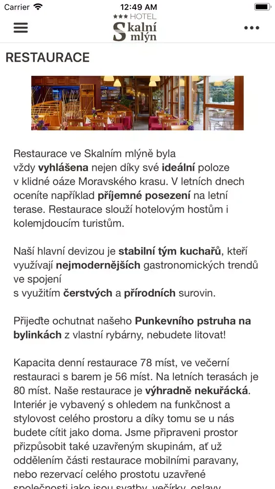 Tangkapan skrin Hotel Skalní mlýn