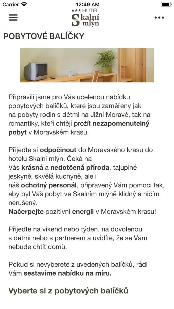 Tangkapan skrin Hotel Skalní mlýn