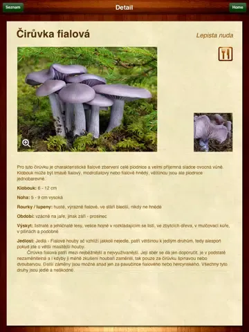Captures d'écran de Atlas hub iPad 