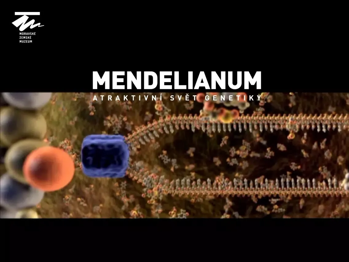 Mendelianum - atraktivní svět genetiky iPad 應用截圖