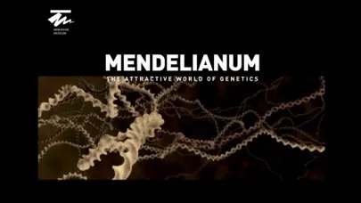 Screenshot di Mendelianum - the attractive world of genetics.