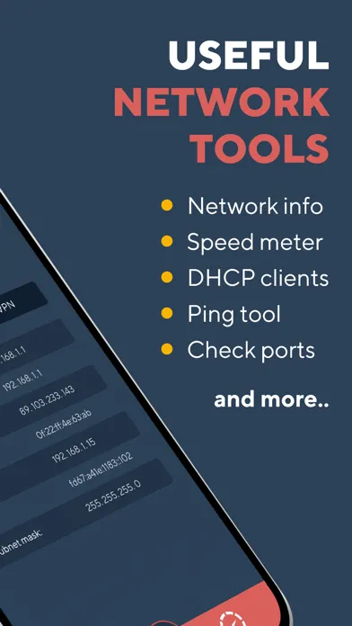 Network Analyzer Master: Loopa स्क्रीनशॉट