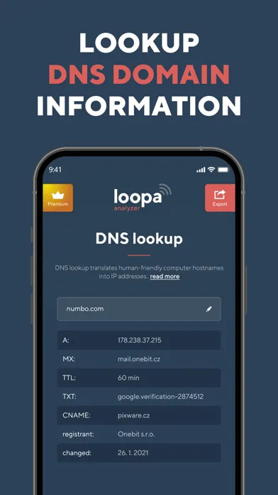 Network Analyzer Master: Loopa स्क्रीनशॉट