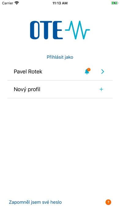 Zrzuty ekranu POZE - OTE