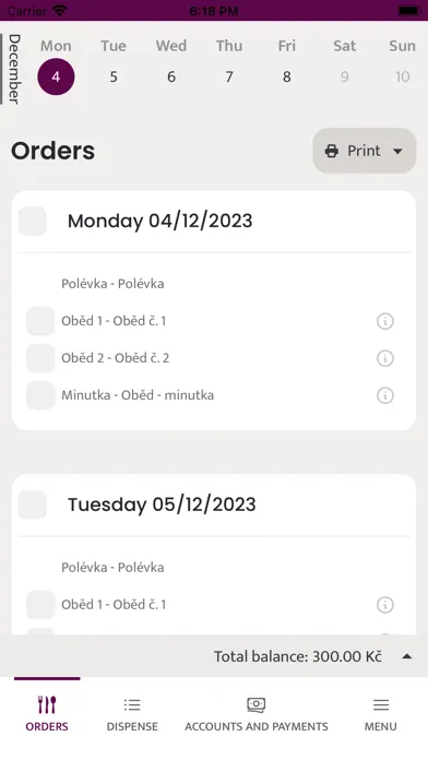 Ảnh chụp màn hình của Strava.cz Meal Ordering