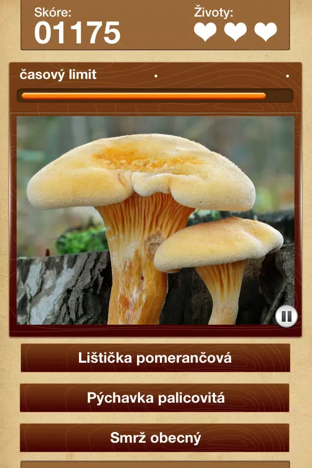 Rostou QUIZ Screenshots