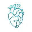 Anatomio - анатомия человека