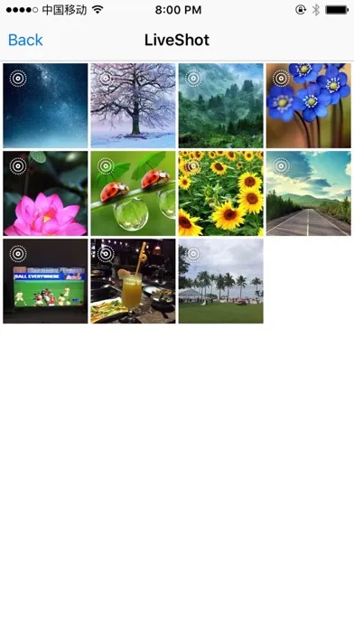 LiveShot - Dynamic Photo Maker Screenshots