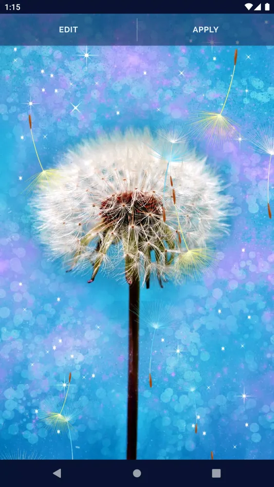 Dandelion Live Wallpaper Screenshots