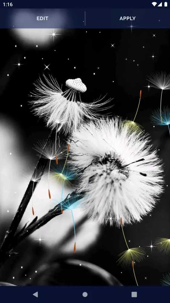 Dandelion Live Wallpaper Screenshots