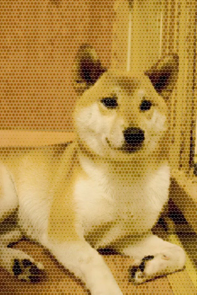Capturas de tela do Camera 4 HalfTone 1/2
