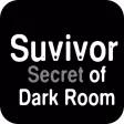 Survivor - Secret for Dark Room Survivor - Secret for Dark Room