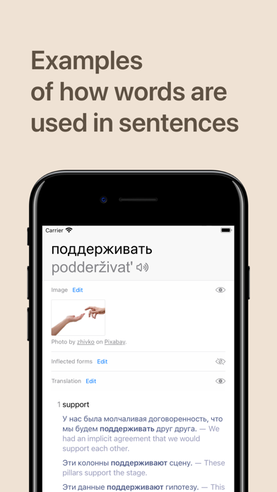 Ảnh chụp màn hình của Redict - Russian and English
