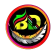 BD NET VPN
