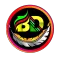 BD NET VPN