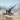 Artillery Master