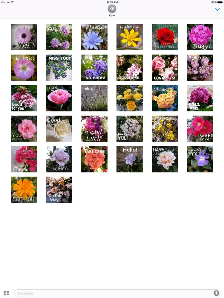 Flower Words - Text Message Stickers Pack 2 iPad  Screenshots