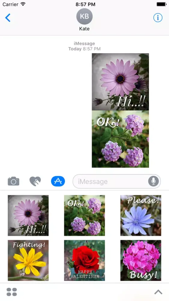 Flower Words - Text Message Stickers Pack 2 Screenshots