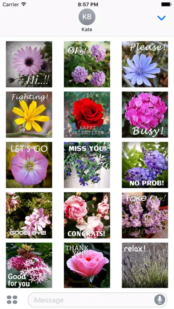 Flower Words - Text Message Stickers Pack 2 Screenshots