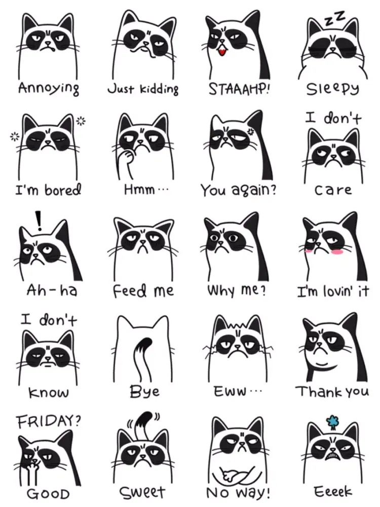 Angry Cat Stickers iPad  स्क्रीनशॉट