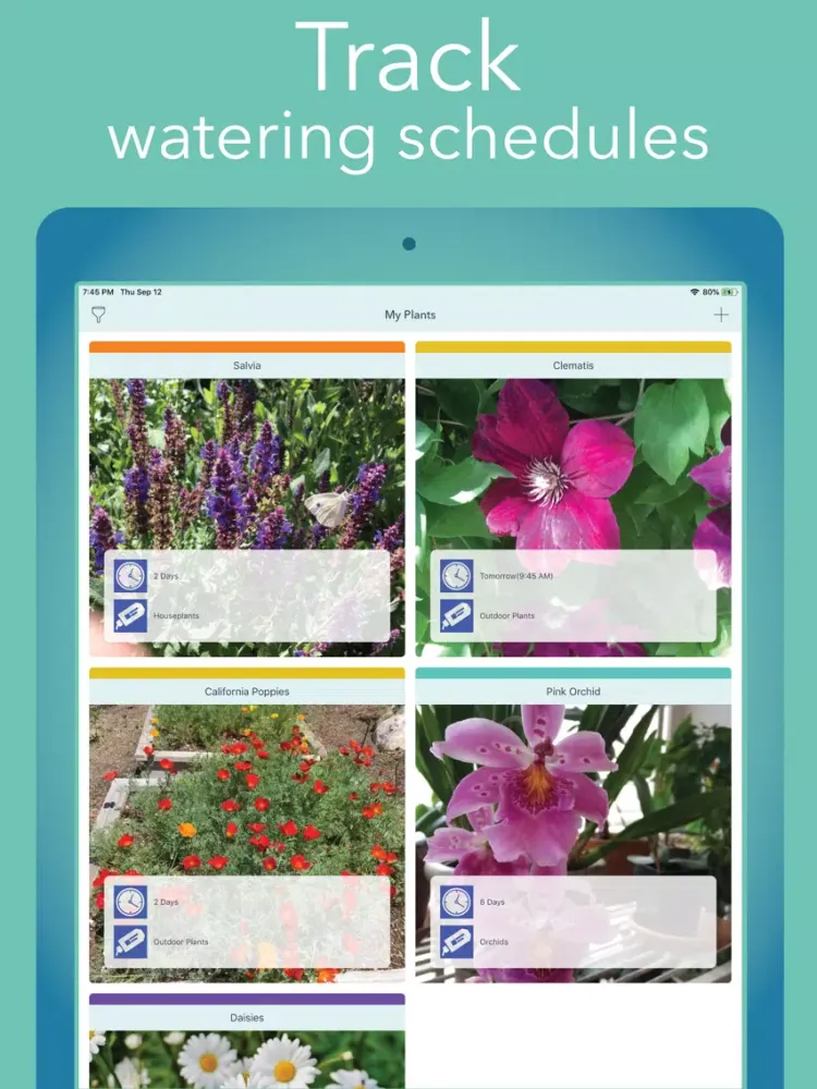 Скриншоты Blue Pail - Watering Reminder iPad 