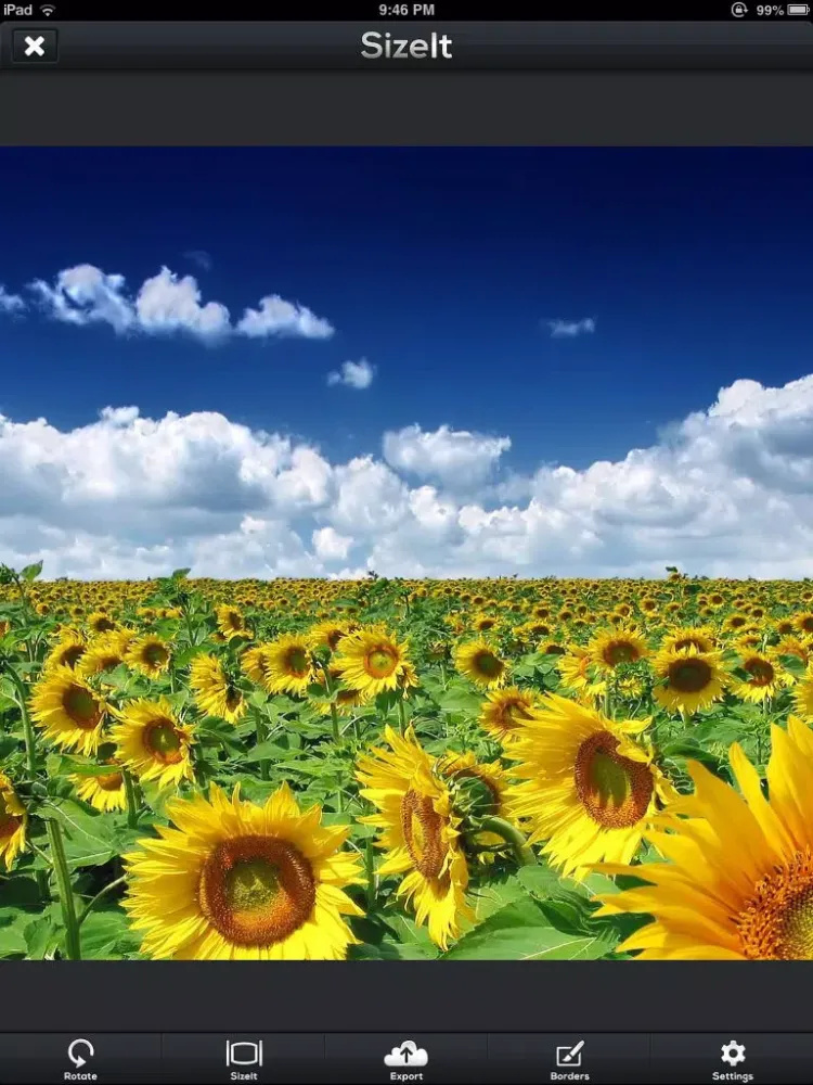 SizeIt for Instagram - Post Full-Sized Photos WIthout Cropping! iPad Screenshots