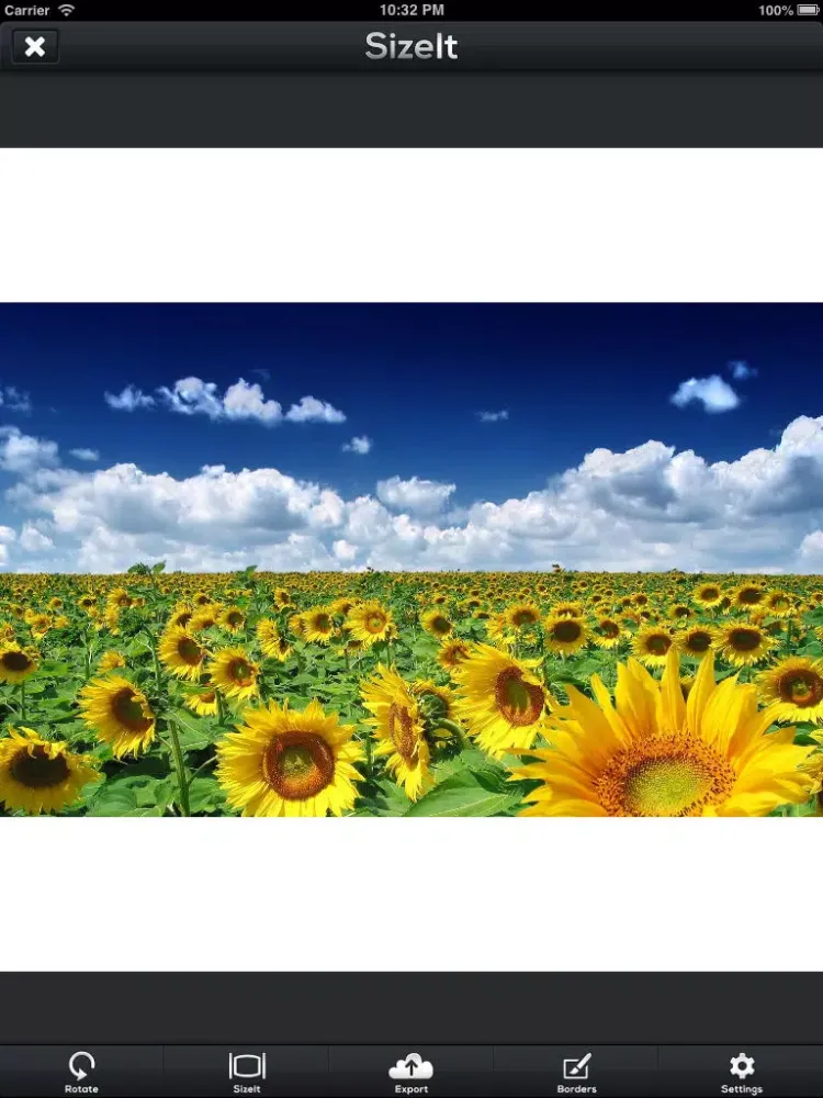 SizeIt for Instagram - Post Full-Sized Photos WIthout Cropping! iPad Screenshots