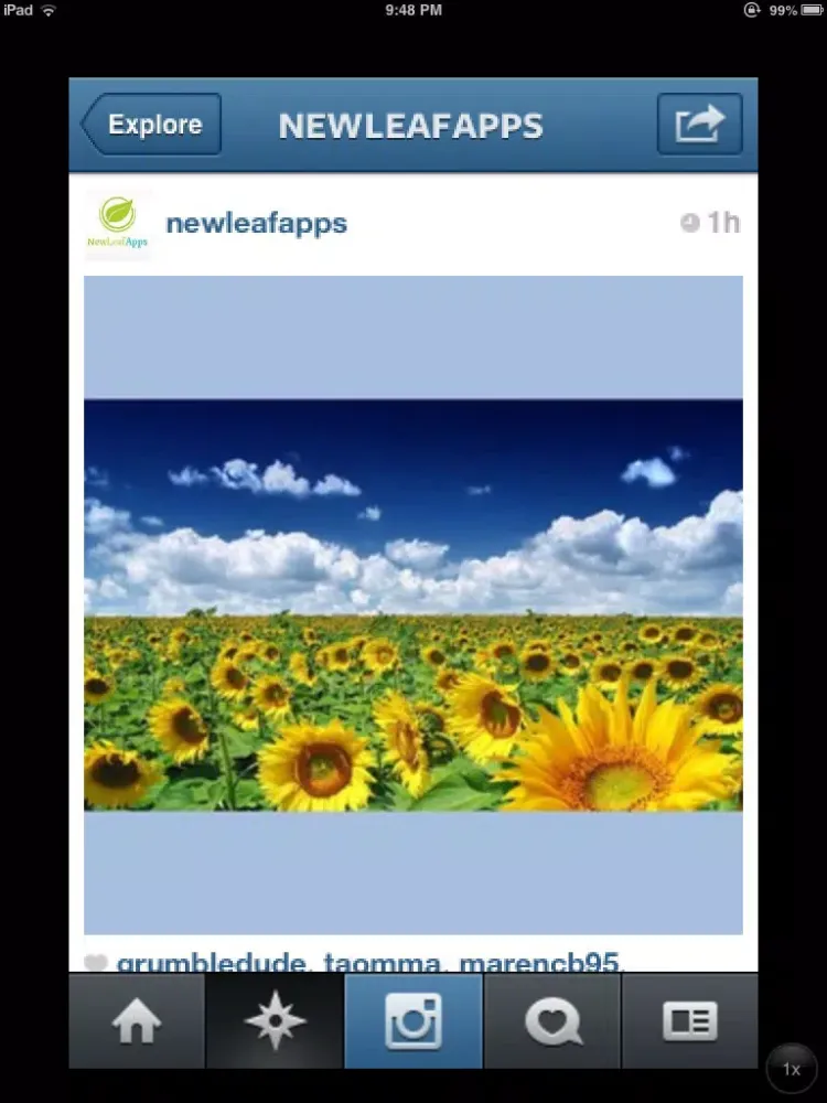 SizeIt for Instagram - Post Full-Sized Photos WIthout Cropping! iPad Screenshots