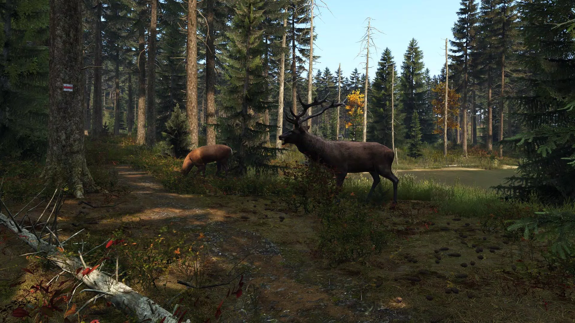 DayZ Mobileのアプリスクリーンショット3