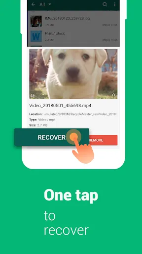 Скриншоты RecycleMaster: Recovery File