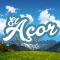 El Acor XVII