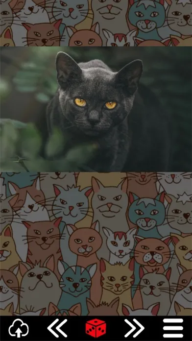 صور Cat.alogue