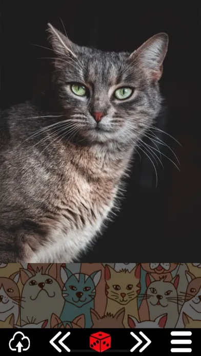 صور Cat.alogue