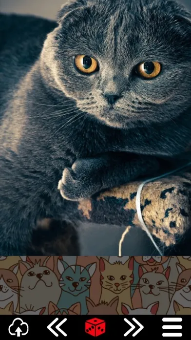 صور Cat.alogue