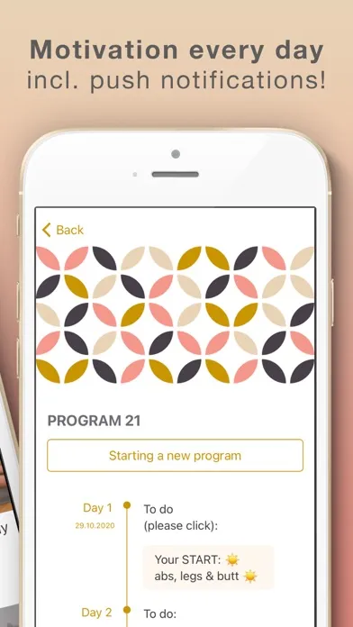 Tangkapan skrin Program 21: Home Workouts
