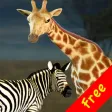 Click! Safari Free Click! Safari Free