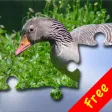 Puzzle! Animals Free