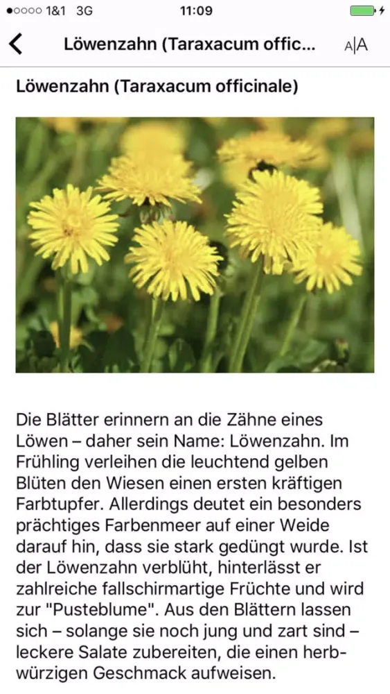 Apotheke-Baum Ekran Görüntüleri
