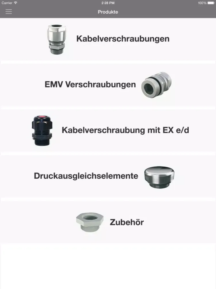 Zrzuty ekranu RST® iPad 