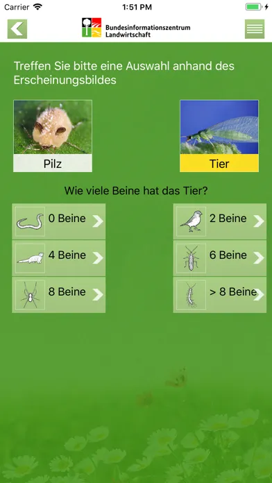 Nützlinge im Garten スクリーンショット