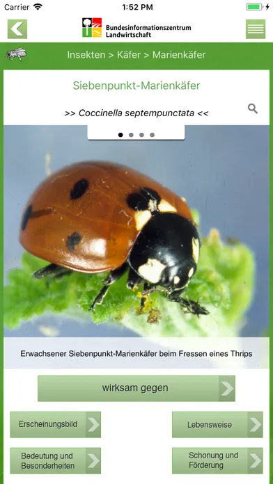 Nützlinge im Garten スクリーンショット