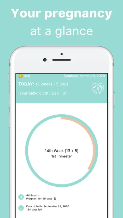 Pregnancy Week Tracker Screenshots