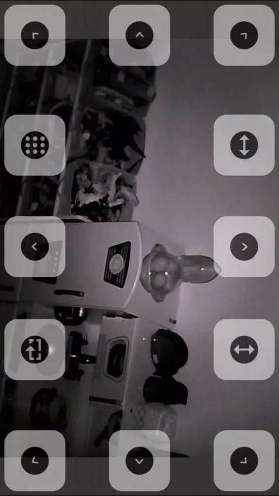 Screenshot di Grandstream FC