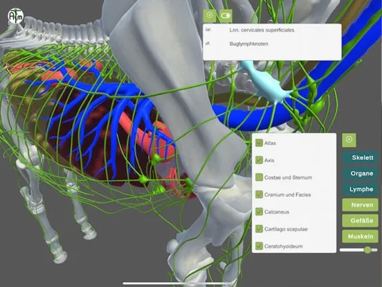 atm-equimapp iPad  Screenshots