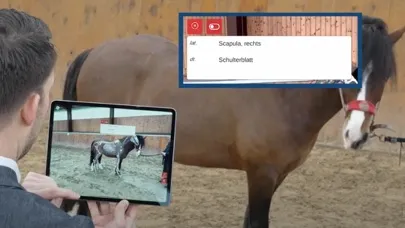 atm-equimapp Screenshots