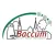 Baccum App